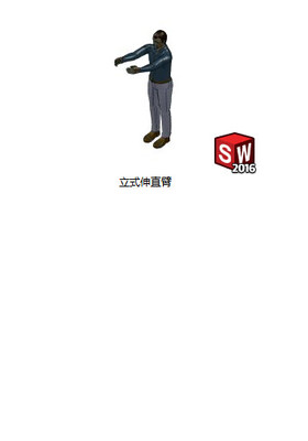 人体模型分享 五种体态