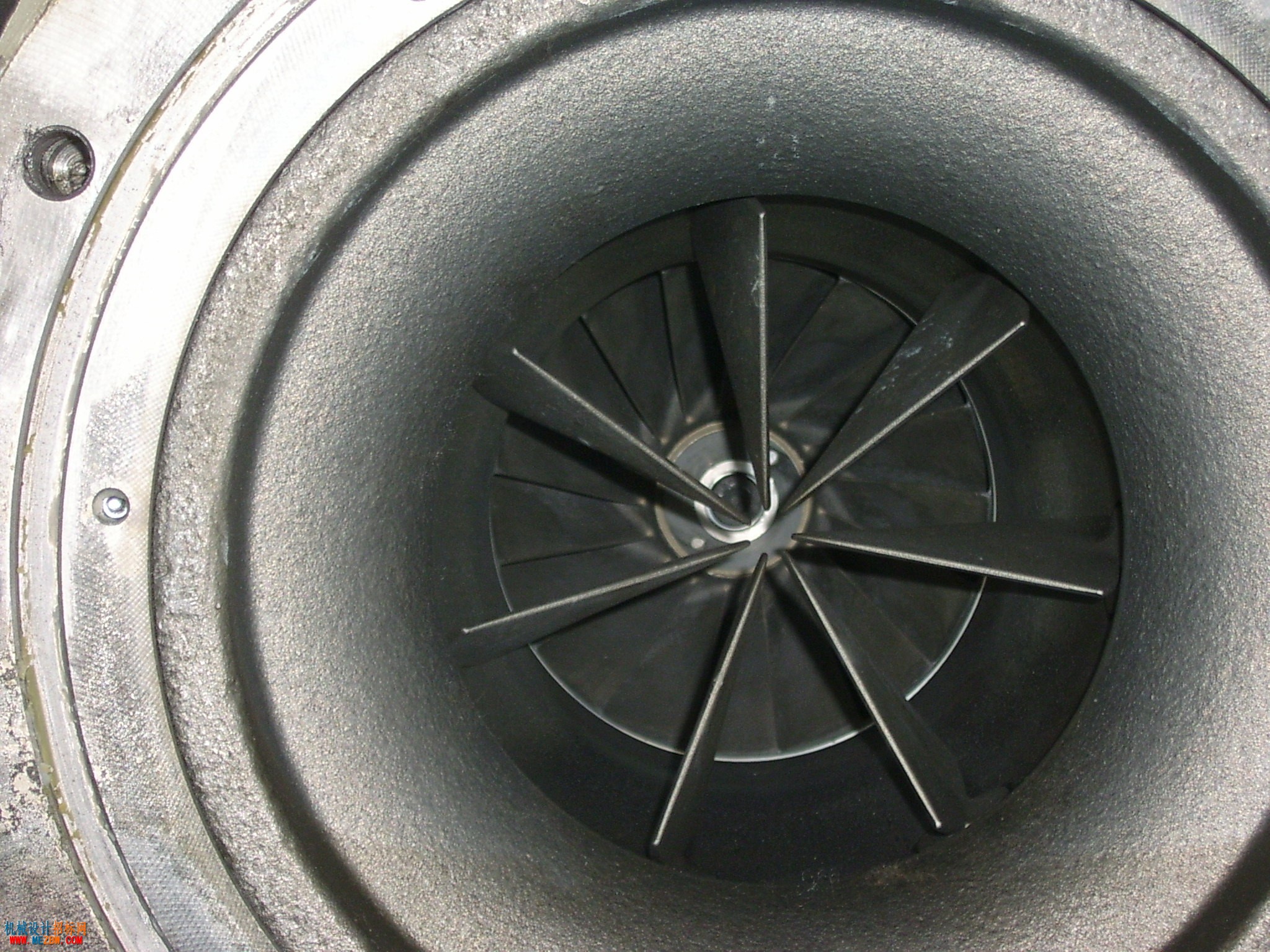 S3600029.JPG