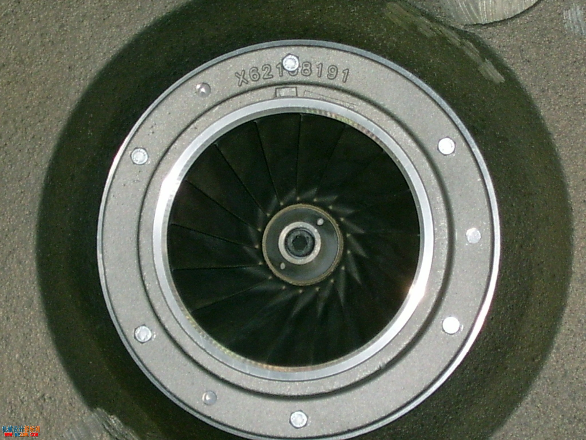 S3600035.JPG