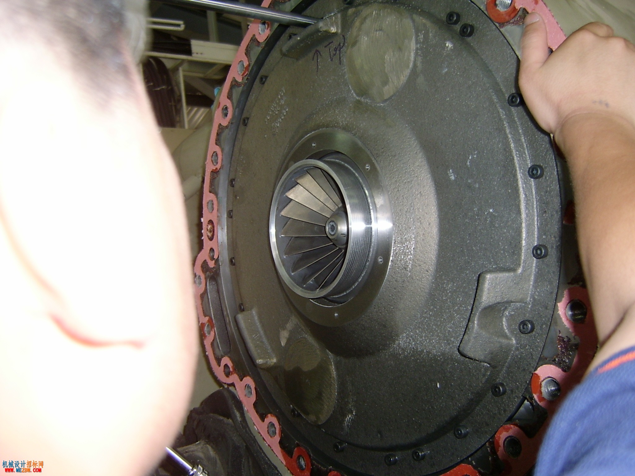 S3600043.JPG