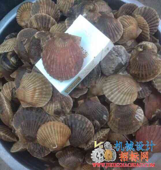 QQ图片20141112110852.jpg