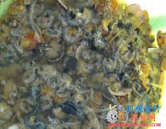 QQ图片20141112110907.jpg