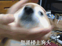 QQ图片20150123172441.gif