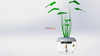 植物与魚共生系統