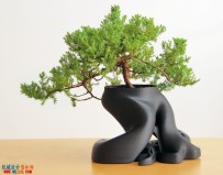 創意花盆