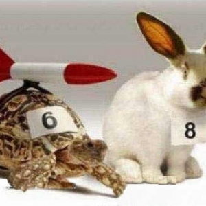 知道兔子将会拼命跑的乌龟是怎么调整自己的心态的？