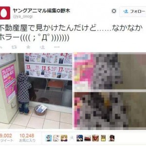 不动产的超级创意